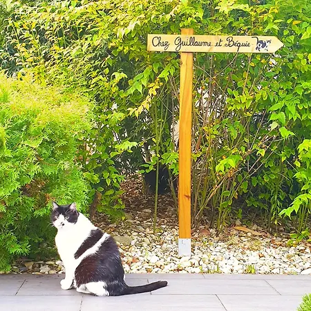 Chez Guillaume Et Bequie Biganos