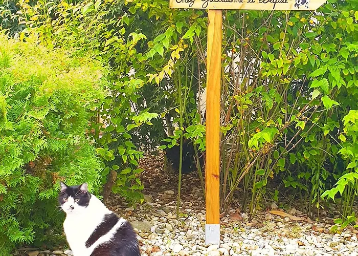 Chez Guillaume Et Bequie ビガーノ